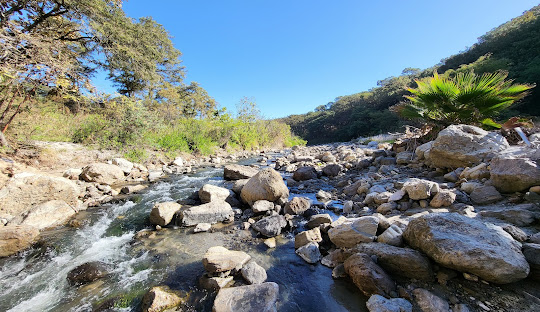 Bosque de la Primavera