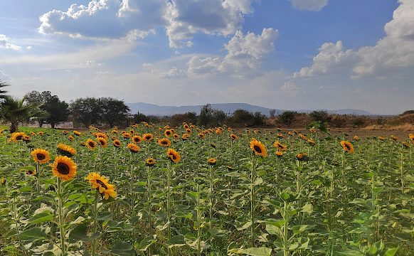 Rancho san juan diego